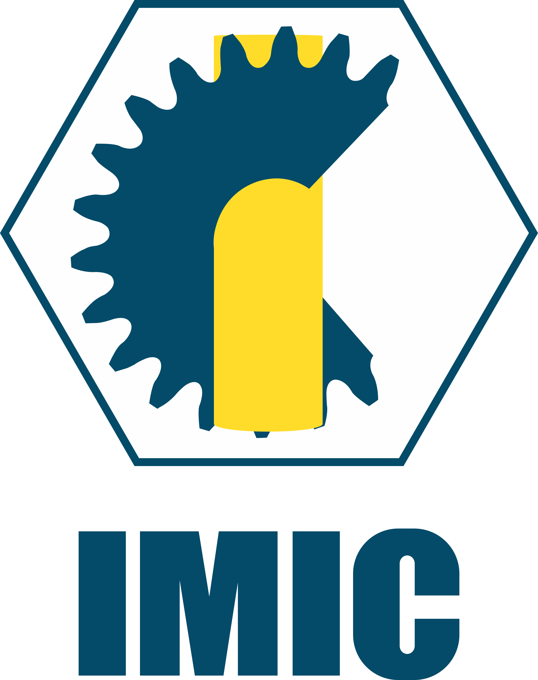 Logo IMIC